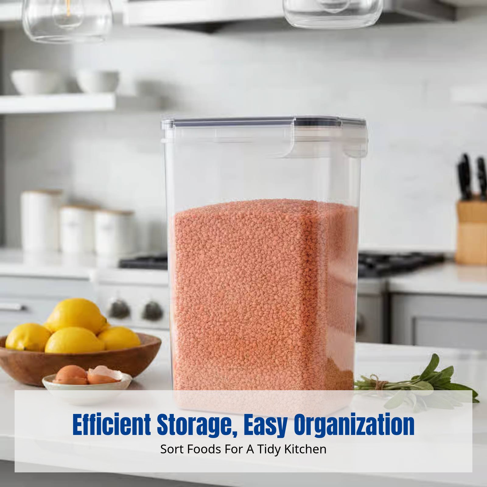 Airtight Food Storage Containe - Food Storage Large ulasan dan harga