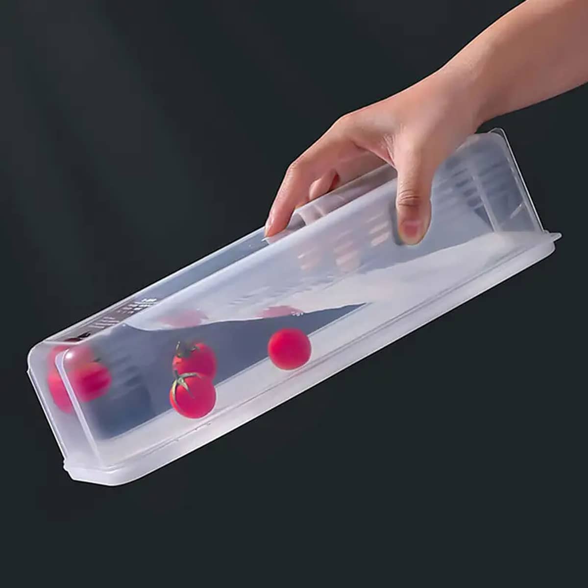 1 Plastic Transparent Storage  - Food Storage Box Plastic ulasan dan harga